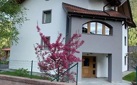 Angeli Dolomiti House