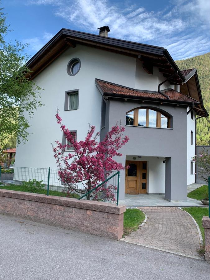 Apartament Angeli Dolomiti House Croviana Zewnętrze zdjęcie
