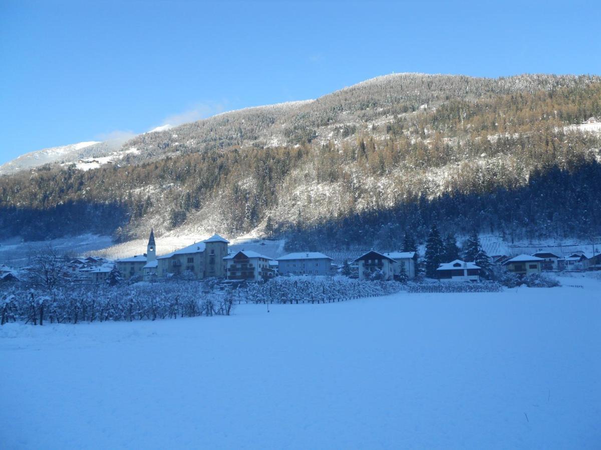 Apartament Angeli Dolomiti House Croviana Zewnętrze zdjęcie