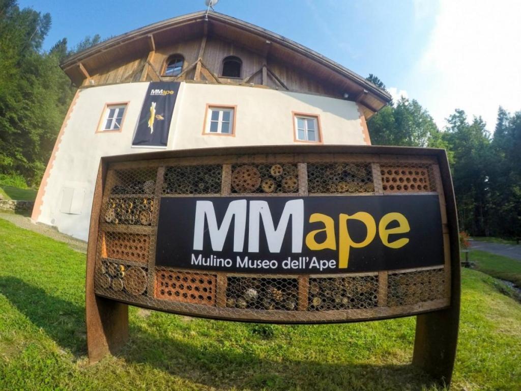 Apartament Angeli Dolomiti House Croviana Zewnętrze zdjęcie