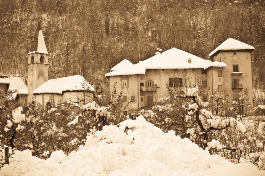 Apartament Angeli Dolomiti House Croviana Zewnętrze zdjęcie